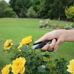 Wilkinson Sword Pruner & Deadhead Snip Twin Pack -Verdant Living 1111307w