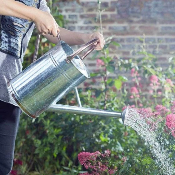 Watering Can – Galvanised 4.5L - Smart Garden 1 Watering Can – Galvanised 4.5L - Smart Garden