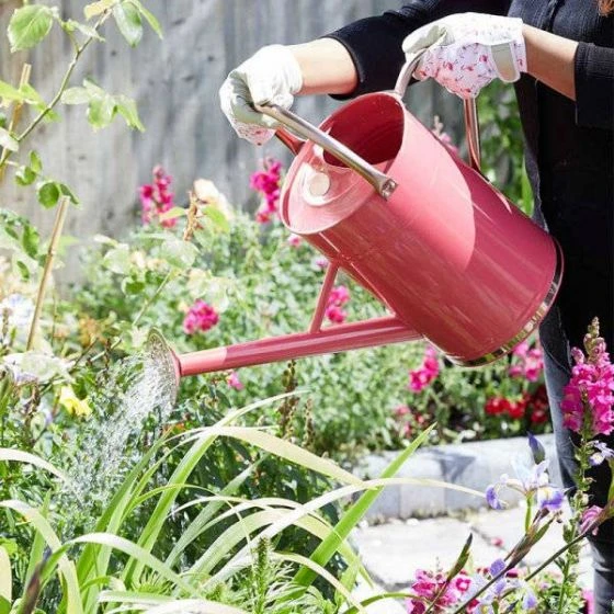 Watering Can - Coral Pink 9L - Smart Garden 1 Watering Can - Coral Pink 9L - Smart Garden