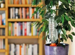 Hozelock Aquasolo 3 Cones + 1 FOC (Orange-pots Up To 10") -Verdant Living aqua