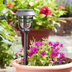 Avant Stake Light 5L, 5 Pack - Smart Garden