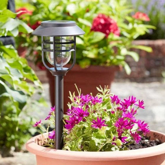 Avant Stake Light 5L, 5 Pack - Smart Garden 1 Avant Stake Light 5L, 5 Pack - Smart Garden