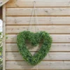 Boxwood Heart 41 X 38 Cm - Smart Garden