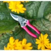 Burgon & Ball Fluores Pocket Pruner - Pink