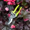 Burgon & Ball Fluores Pocket Pruner - Yellow