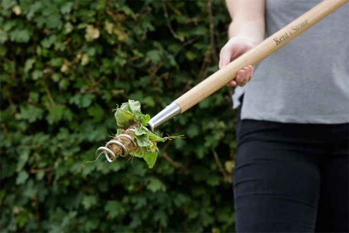 Kent And Stowe Long Hand Corkscrew Weeder 1 Kent And Stowe Long Hand Corkscrew Weeder