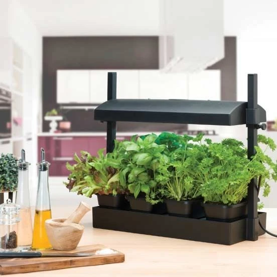 Worth Gardening Micro Grow Light Garden Black 1 Worth Gardening Micro Grow Light Garden Black