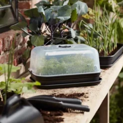 Elho Green Basics Grow Kit All-In-1 -Verdant Living elho tray kit 2