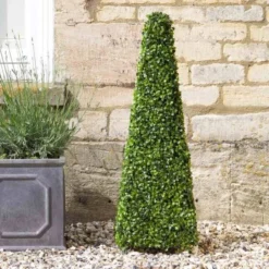 Topiary Boxwood Obelisk 90 Cm - Smart Garden