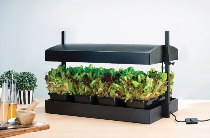 Worth Gardening Grow Light Garden Black 1 Worth Gardening Grow Light Garden Black