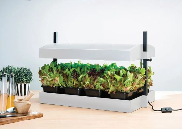 Worth Gardening Grow Light Garden White 2 Worth Gardening Grow Light Garden White - Image 2