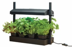 Worth Gardening Micro Grow Light Garden Black 6 Worth Gardening Micro Grow Light Garden Black -Verdant Living g187b lifestyle 1
