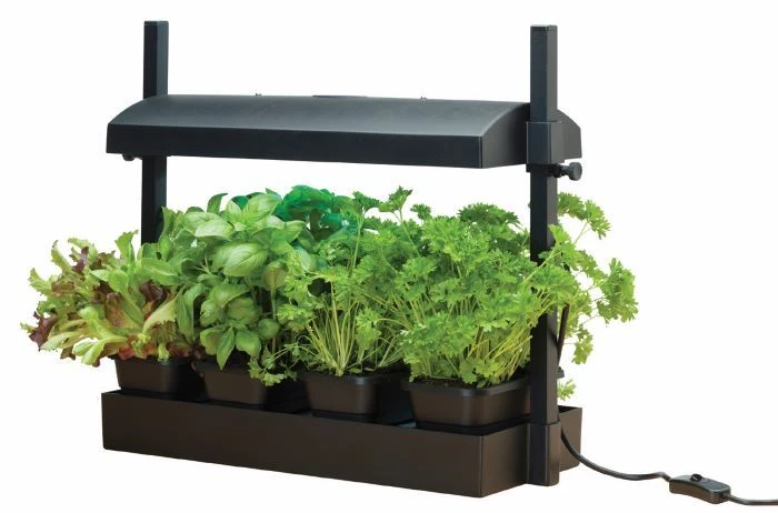 Worth Gardening Micro Grow Light Garden Black 3 Worth Gardening Micro Grow Light Garden Black - Image 3