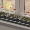 Worth Gardening Trio Top Electric Windowsill Propagator
