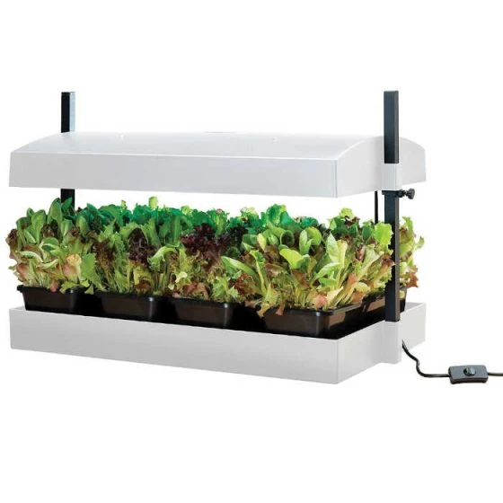 Worth Gardening Grow Light Garden White 3 Worth Gardening Grow Light Garden White - Image 3