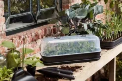 Elho Green Basics Grow House L - Transparent