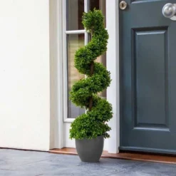 Topiary Twirl 90 Cm - Smart Garden