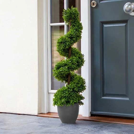 Topiary Twirl 90 Cm - Smart Garden 1 Topiary Twirl 90 Cm - Smart Garden