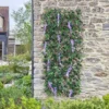 Smart Garden Wisteria Trellis 180x60cm