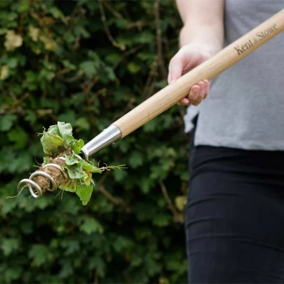 Kent And Stowe Long Hand Corkscrew Weeder 3 Kent And Stowe Long Hand Corkscrew Weeder - Image 3