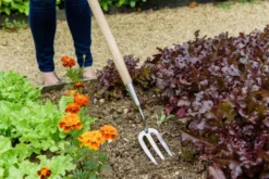 Kent And Stowe Stainless Steel Long Handled Fork