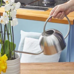 Smart Garden Stainless Steel Watering Can 1L