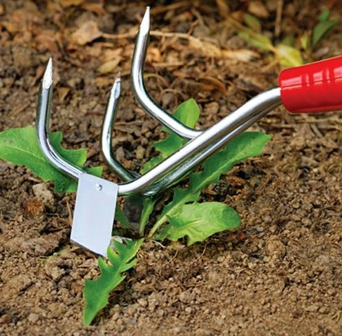 Wolf-Garten Small Cultiweeder - 7cm 2 Wolf-Garten Small Cultiweeder - 7cm - Image 2